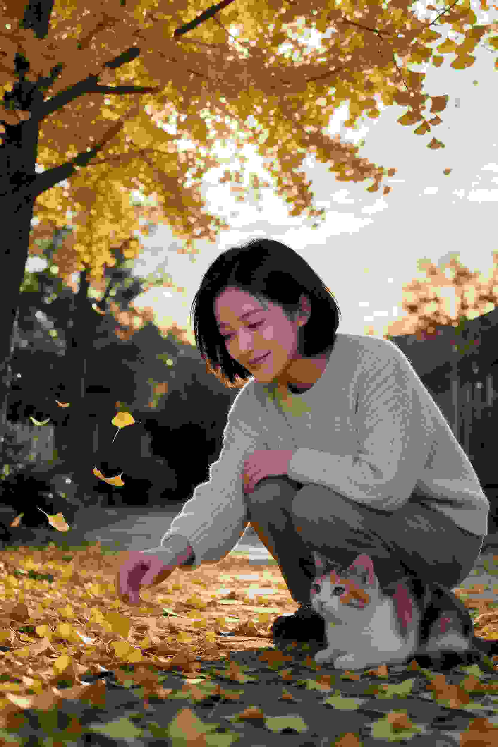 轮播封面